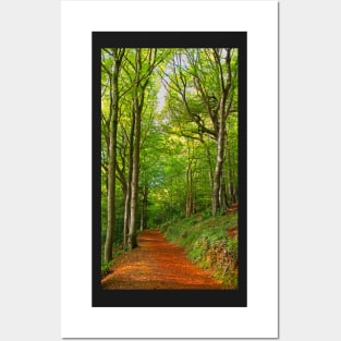 Cotswolds Forest Footpath Posters and Art